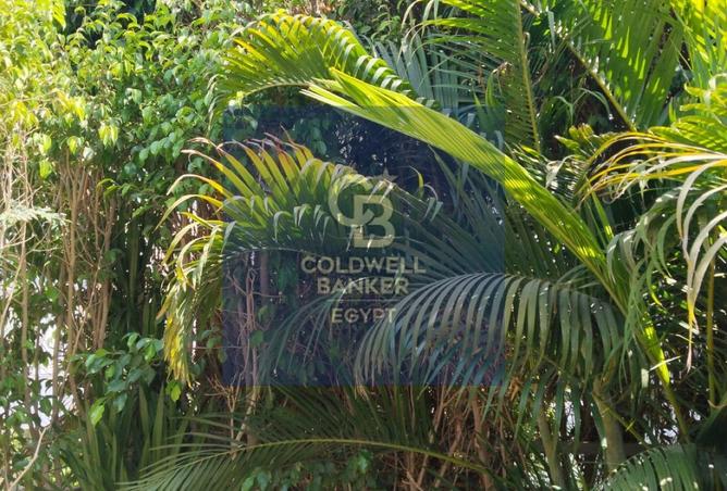 8685969 - Property Image 2