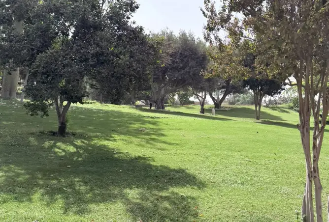 119336791 - Property Image 3