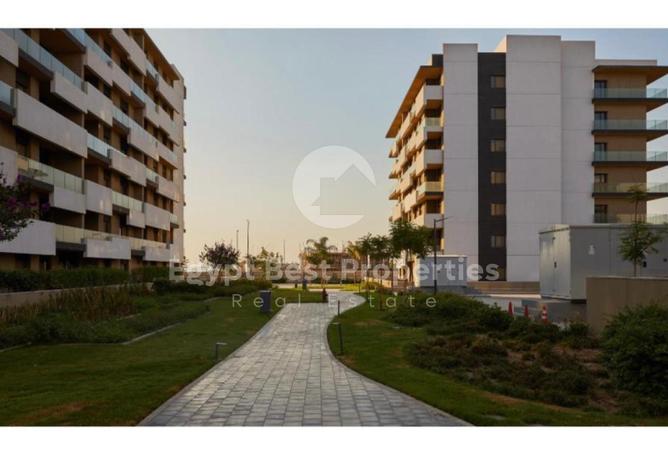 63144267 - Property Image 3