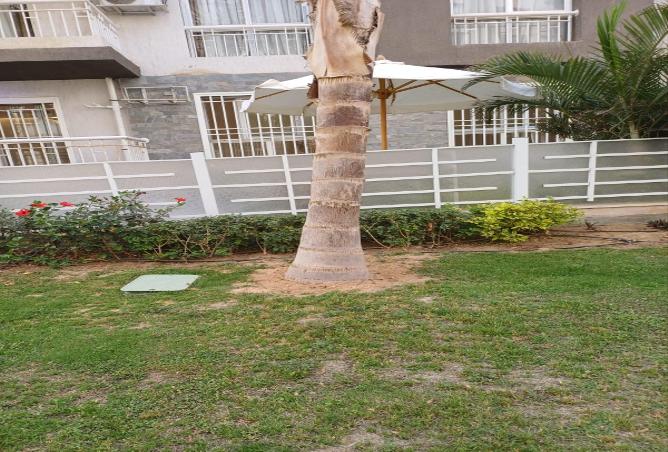 76233537 - صورة العقار 3