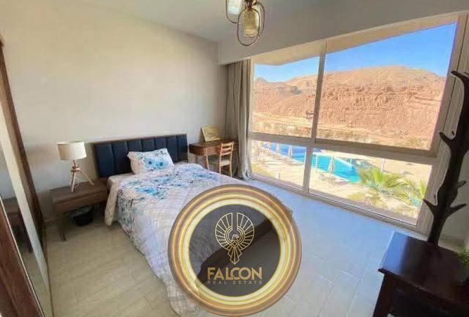 8575855 - Property Image 3