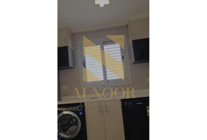 55750232 - Property Image 3