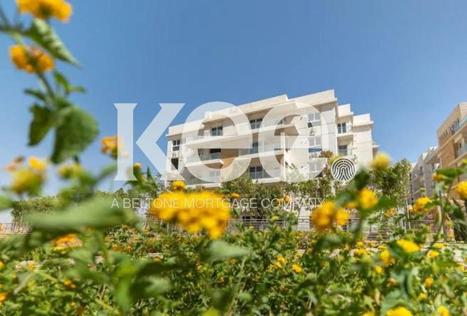 8559022 - Property Image 2