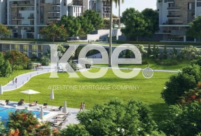 8559022 - Property Image 3