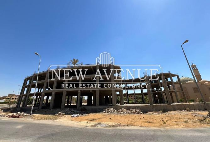 8687284 - Property Image 3