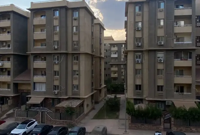 116494969 - Property Image 3