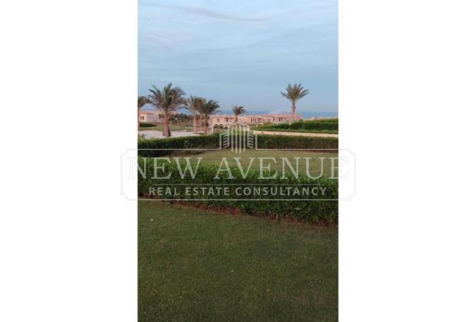 77051187 - Property Image 2