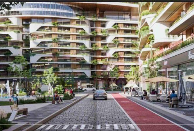 61680009 - Property Image 2