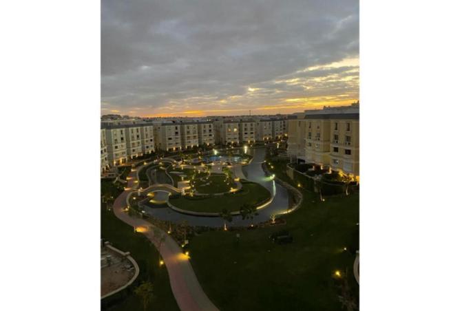 58256252 - صورة العقار 2