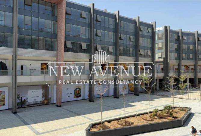 65161850 - Property Image 3