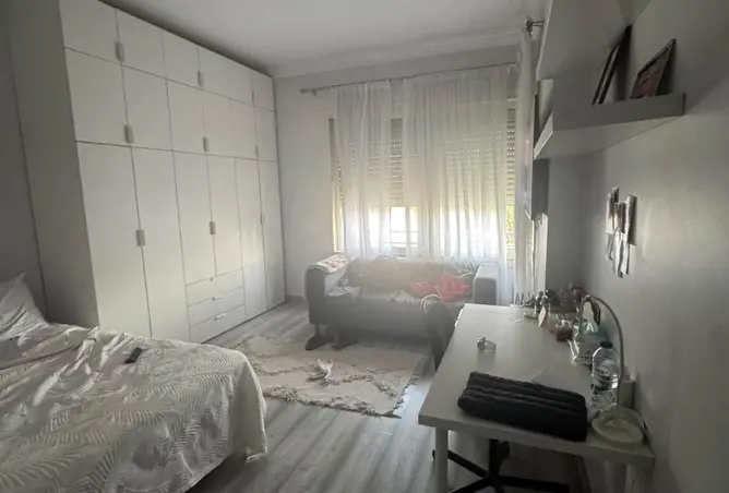 113535962 - Property Image 3