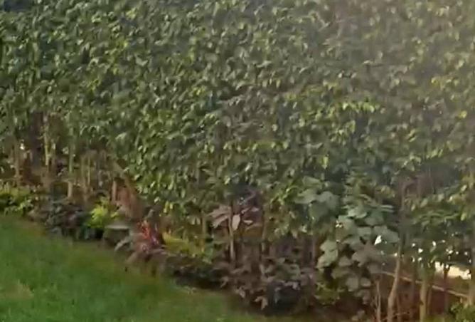 69831627 - Property Image 3