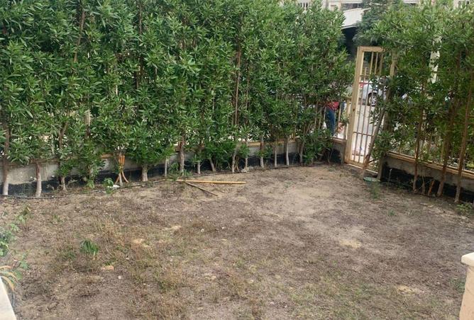 63637618 - صورة العقار 3