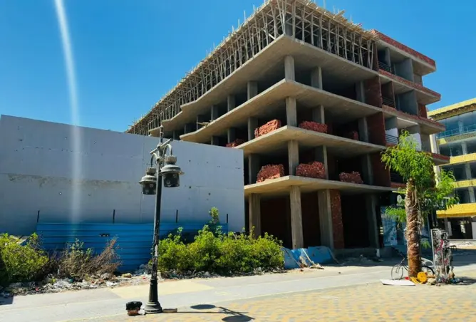 98816336 - Property Image 3