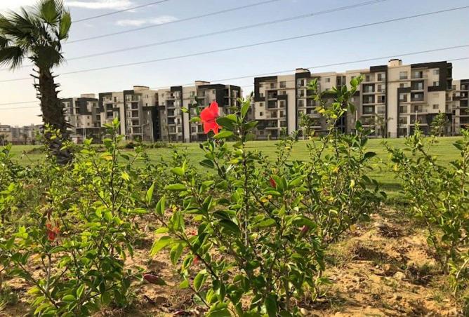 65664733 - صورة العقار 2