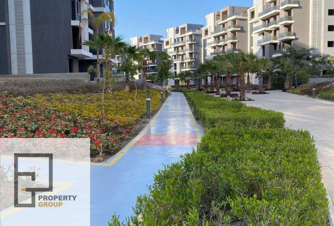 58248659 - Property Image 2