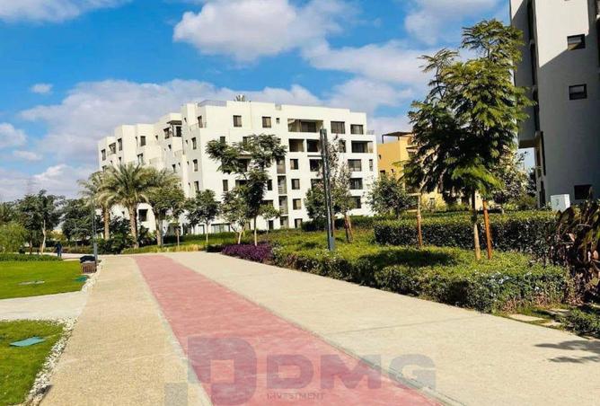 63387001 - Property Image 2