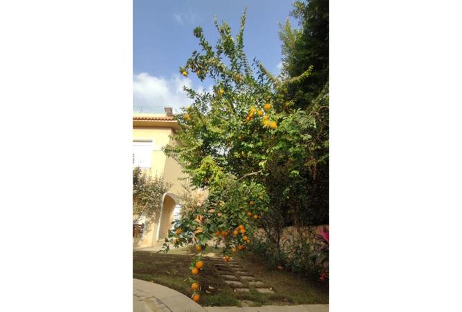 61694696 - صورة العقار 2