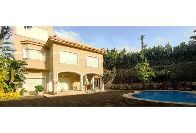 61694696 - صورة العقار 3