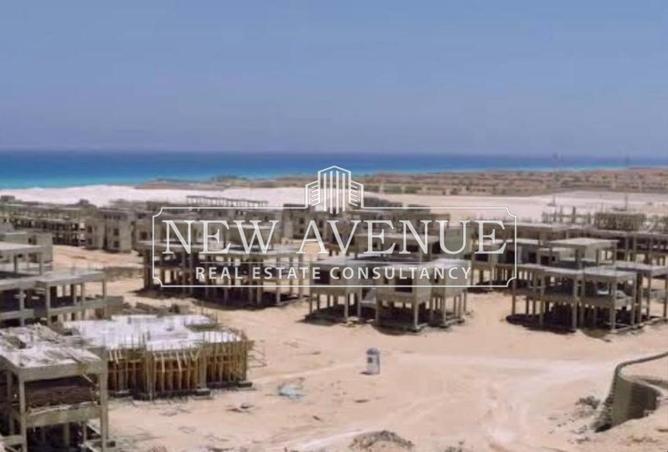 56252500 - صورة العقار 3