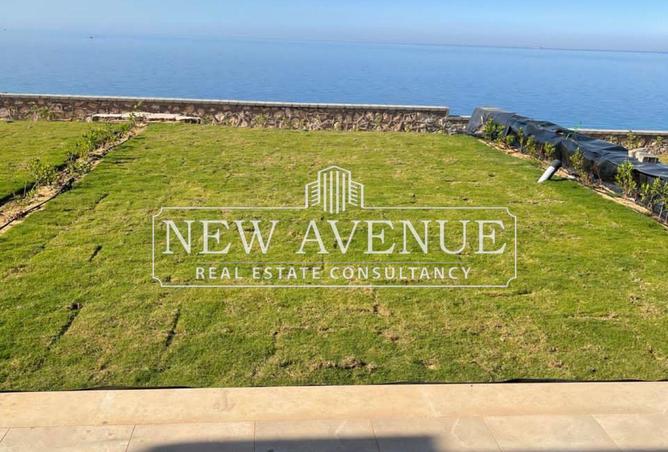 55008004 - Property Image 2