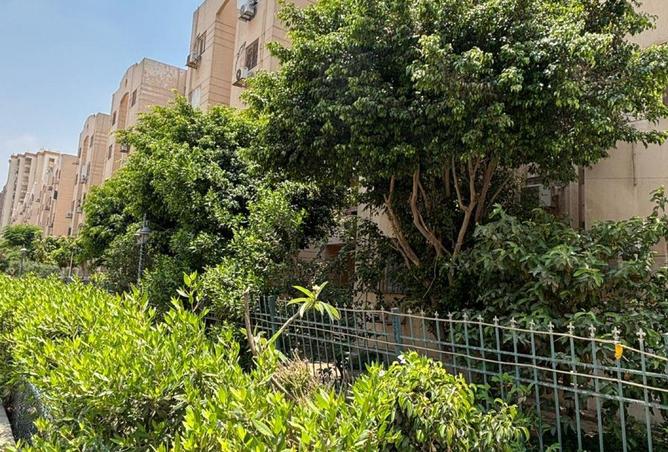 59250198 - صورة العقار 3