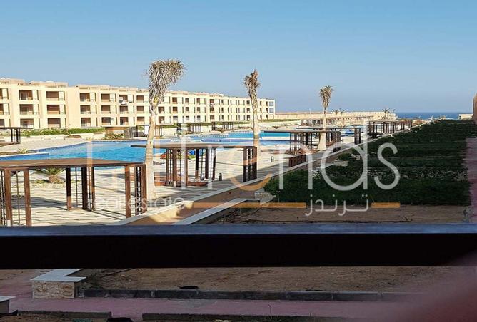 67742834 - صورة العقار 3