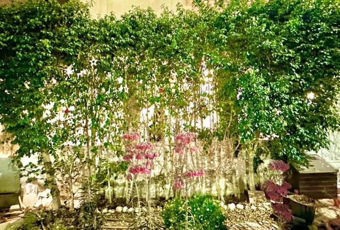 54748929 - Property Image 2