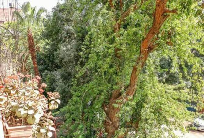 76234122 - الصورة الرئيسية للعقار
