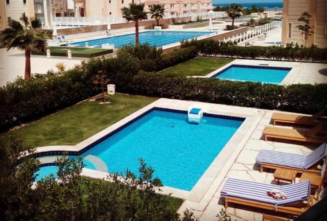 63145358 - Property Image 2