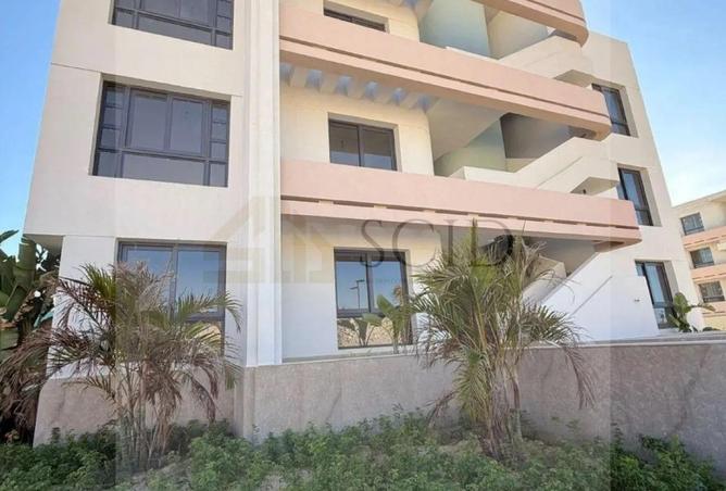81041028 - Property Image 2
