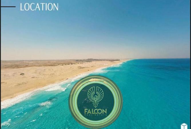 69578302 - Property Image 3