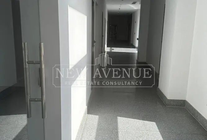 113528466 - Property Image 3