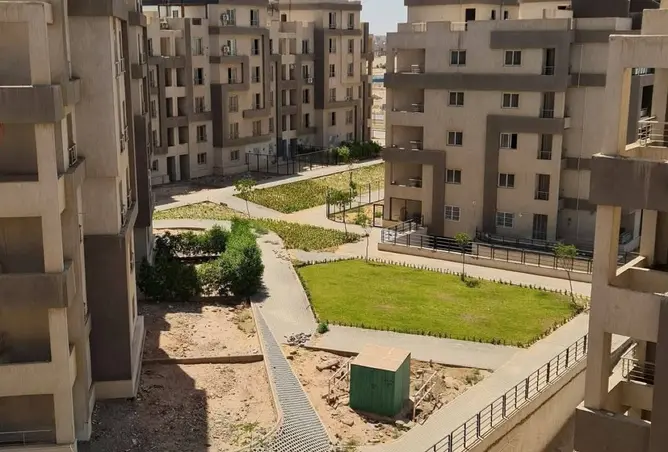 106566848 - صورة العقار 3