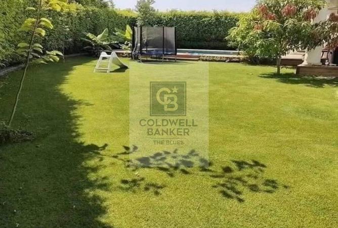 68266981 - Property Image 3