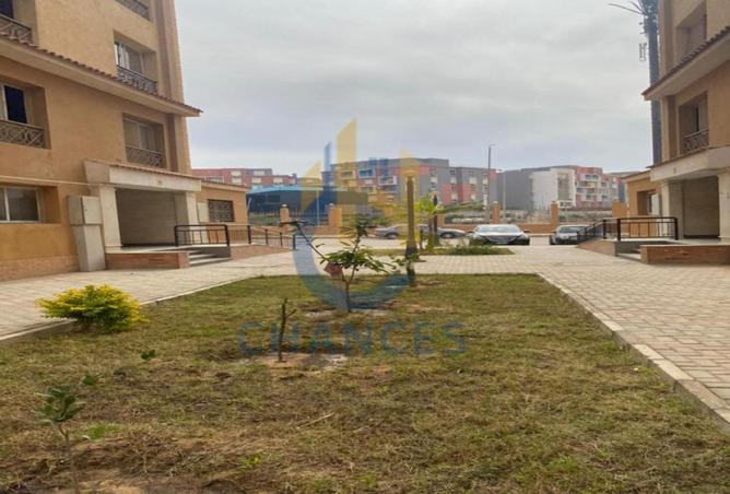 58991352 - Property Image 3