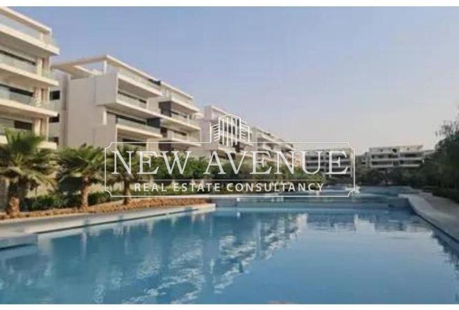 53218041 - Property Image 3