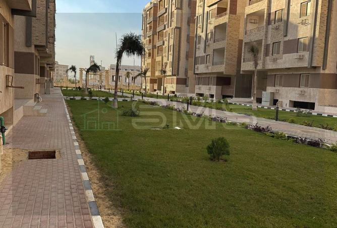 80259574 - صورة العقار 3