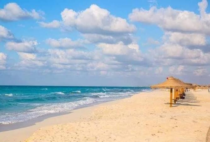 101479432 - الصورة الرئيسية للعقار