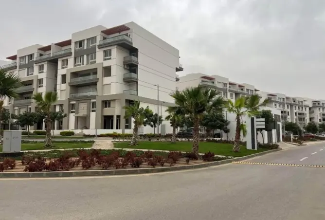 117542178 - Property Image 3