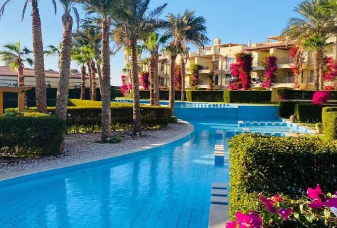 56242662 - Property Image 2