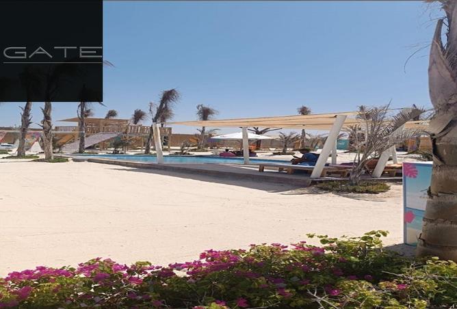 55503187 - صورة العقار 2