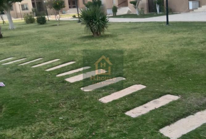 8687468 - صورة العقار 3