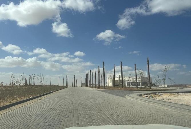 81560020 - صورة العقار 3