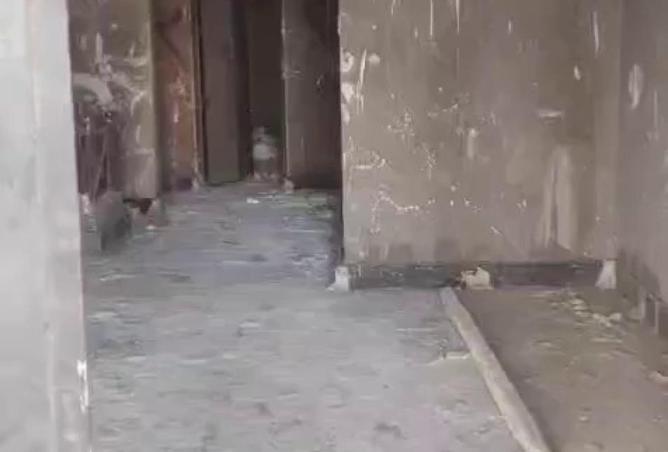 73502305 - صورة العقار 2