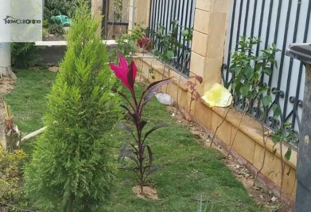 104600394 - الصورة الرئيسية للعقار