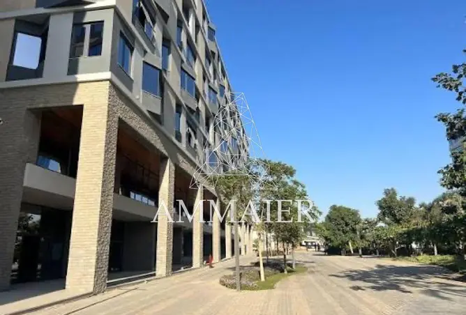 109633457 - صورة العقار 3