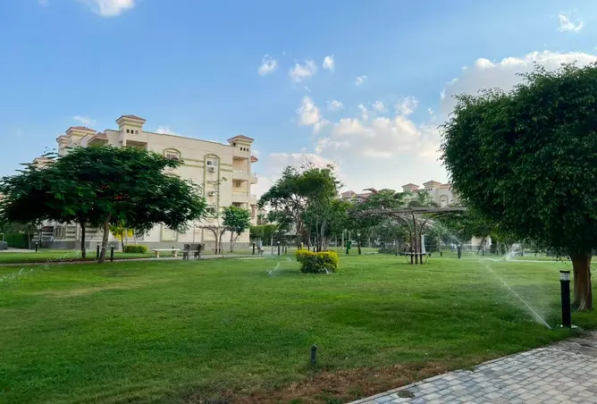 85322944 - صورة العقار 2