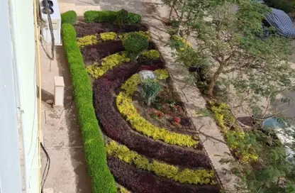 شقة - غرفة نوم - 1 حمام للايجار في دريم لاند - طريق الواحات - مدينة 6 أكتوبر - الجيزة شقة - غرفة نوم - 1 حمام للايجار في دريم لاند - طريق الواحات - مدينة 6 أكتوبر - الجيزة