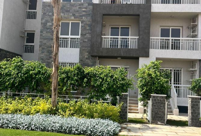 53985400 - Property Image 3